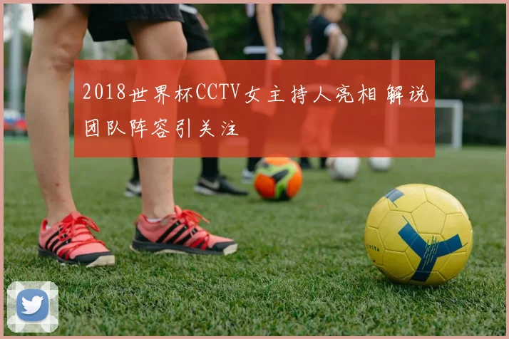 2018世界杯CCTV女主持人亮相 解说团队阵容引关注